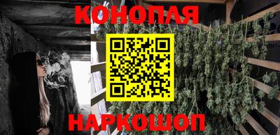шишки Ставрополь