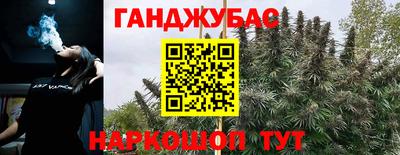 шишки Ставрополь