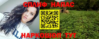 шишки Ставрополь