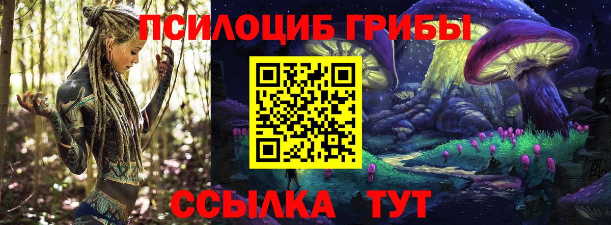 купить наркотик  Галлюциногенные грибы ЛСД  Вход с VPN  Ртищево  Галлюциногенные грибы Psilocybe 